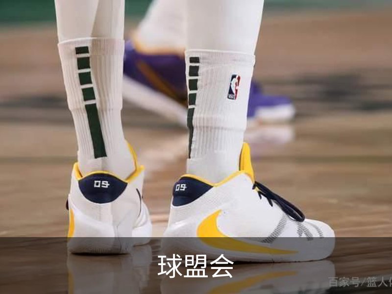 走进球盟会